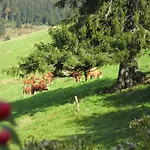 Erlenhof *
