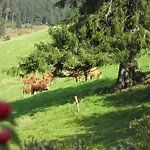 Erlenhof * Todtnau