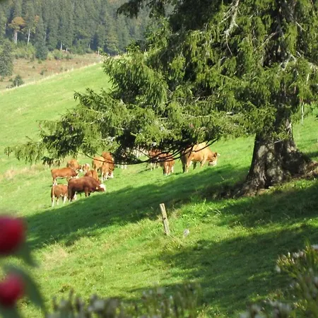 Erlenhof *
