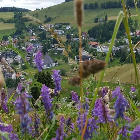 Erlenhof Apartment Todtnau