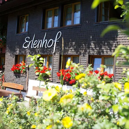 Erlenhof Apartment