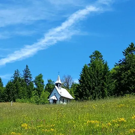 Erlenhof * Todtnau