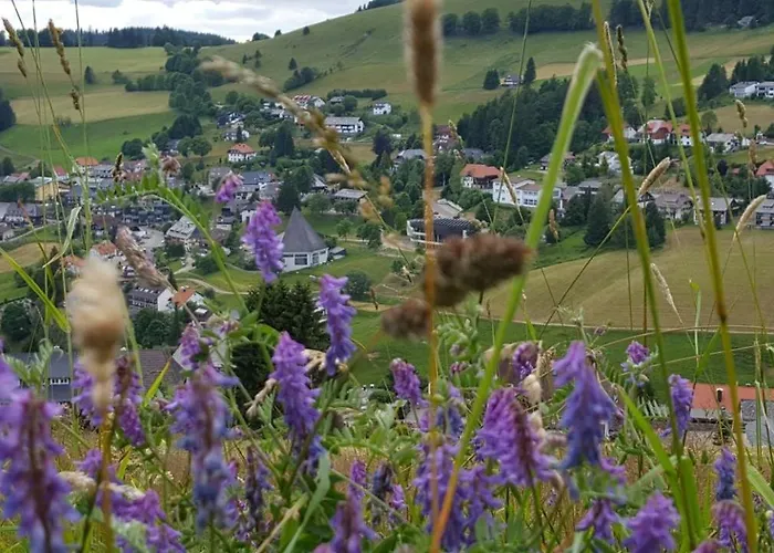 Erlenhof 公寓 托特瑙