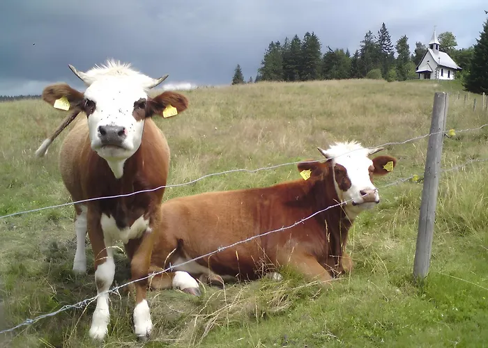 Erlenhof アパート *