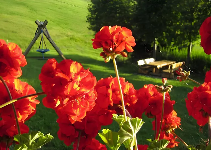 Erlenhof アパート